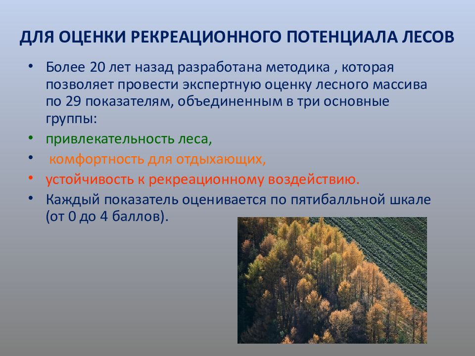 Рекреационное влияние. Рекреационные леса. Рекреационное лесопользование. Рекреационная оценка лесов. Рекреационная роль леса.