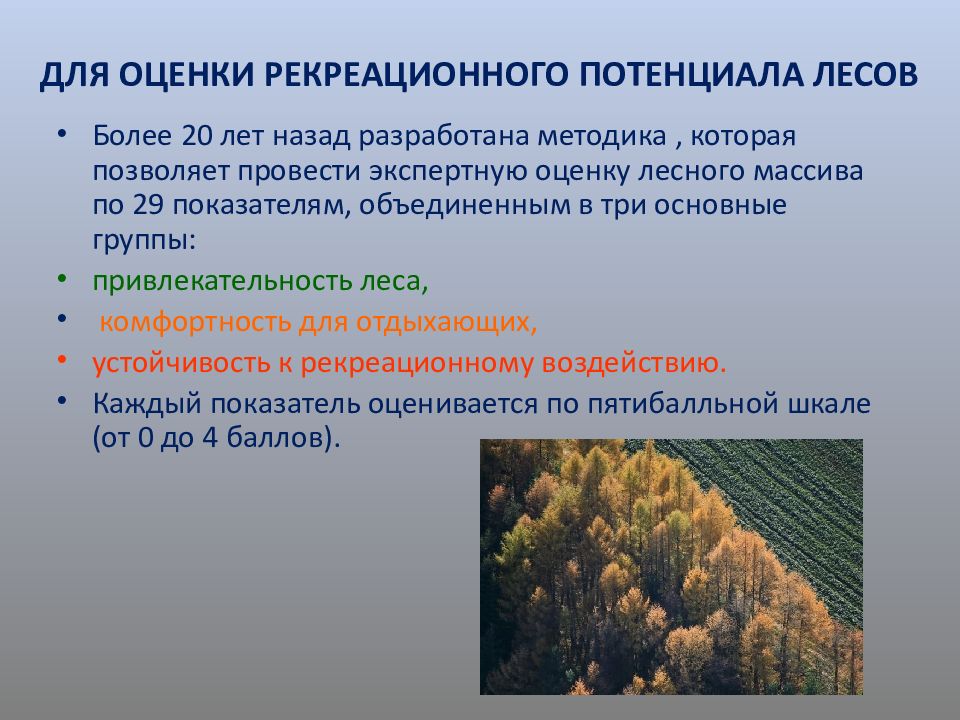 Лесная оценка. Рекреационное лесопользование. Рекреационная оценка лесов. Рекреационная роль леса. Рекреационная пригодность лесов.