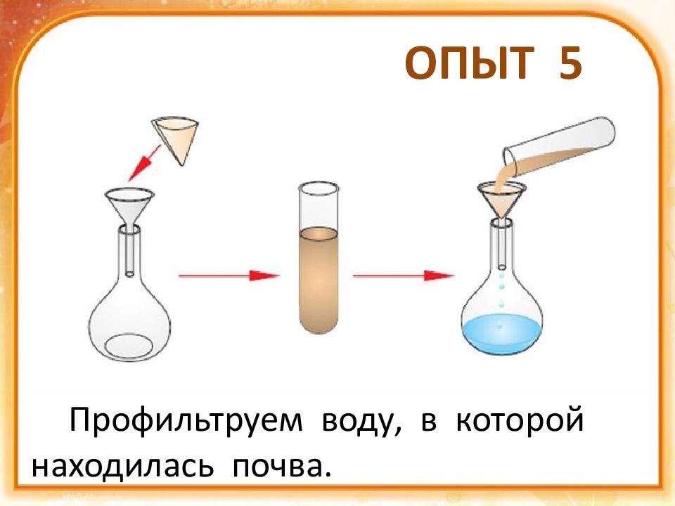 Профильтруем воду в которой долго находилась почва. Опыт 5 профильтруем воду в которой находится почва. Профильтруйте воду в которой со вчерашнего дня находилась почва опыт. 5 Опыт почвы.