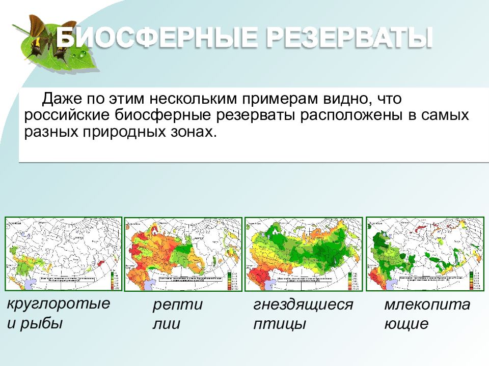 План по сохранению биоразнообразия