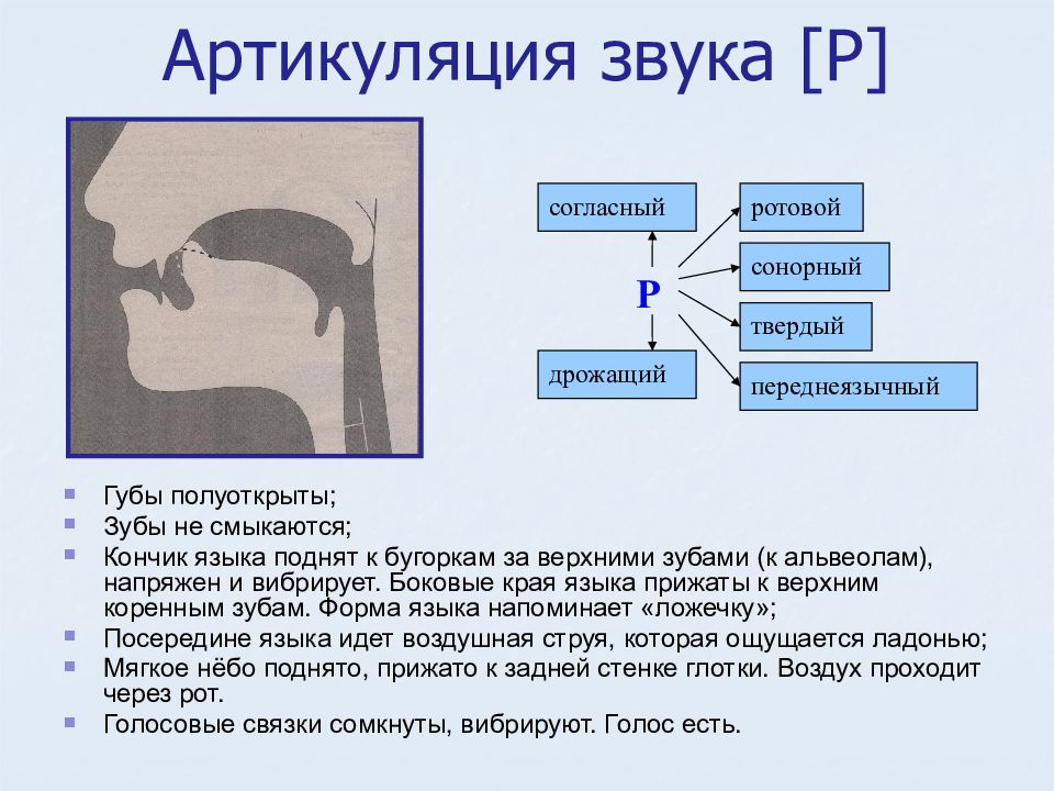 Методы исследования артикуляции презентация