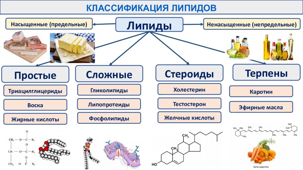 Органические и неорганические вещества клетки углеводы. Гликолипиды классификация. Химический состав клетки липиды. Предельные (насыщенные) непредельные (ненасыщенные). Липиды насыщенные и ненасыщенные отличие.