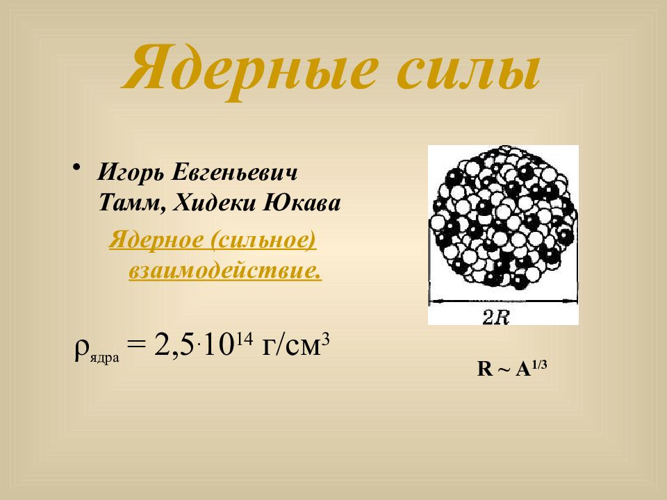 Презентация строение ядра