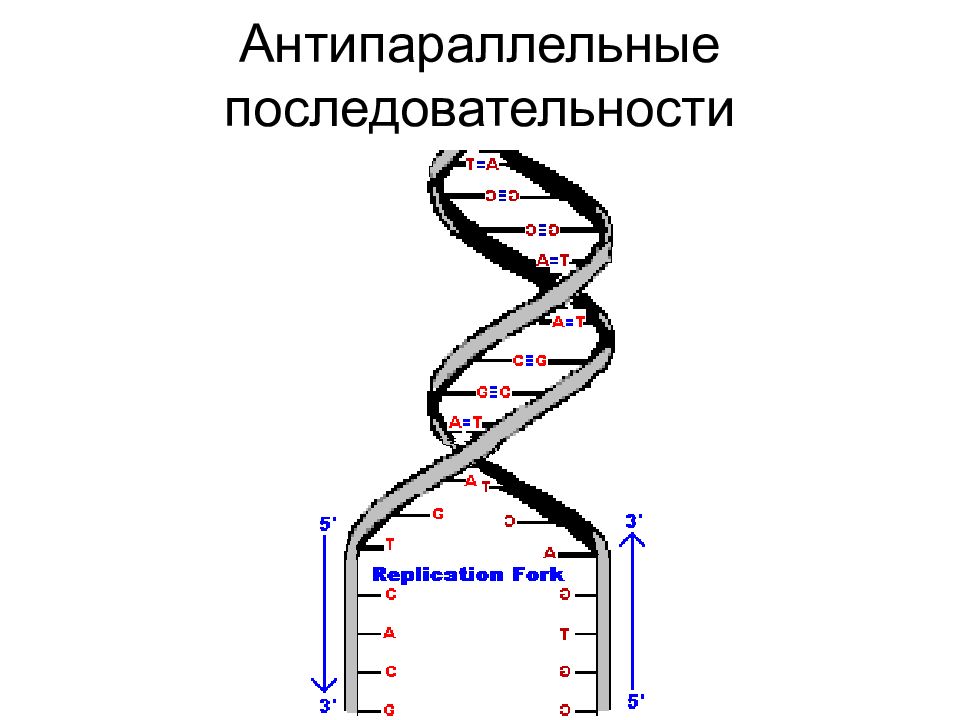 Цепи антипараллельны. Антипараллельно. Антипараллельность прямых. Антипараллельность это в физике. Антипараллельные вектора.