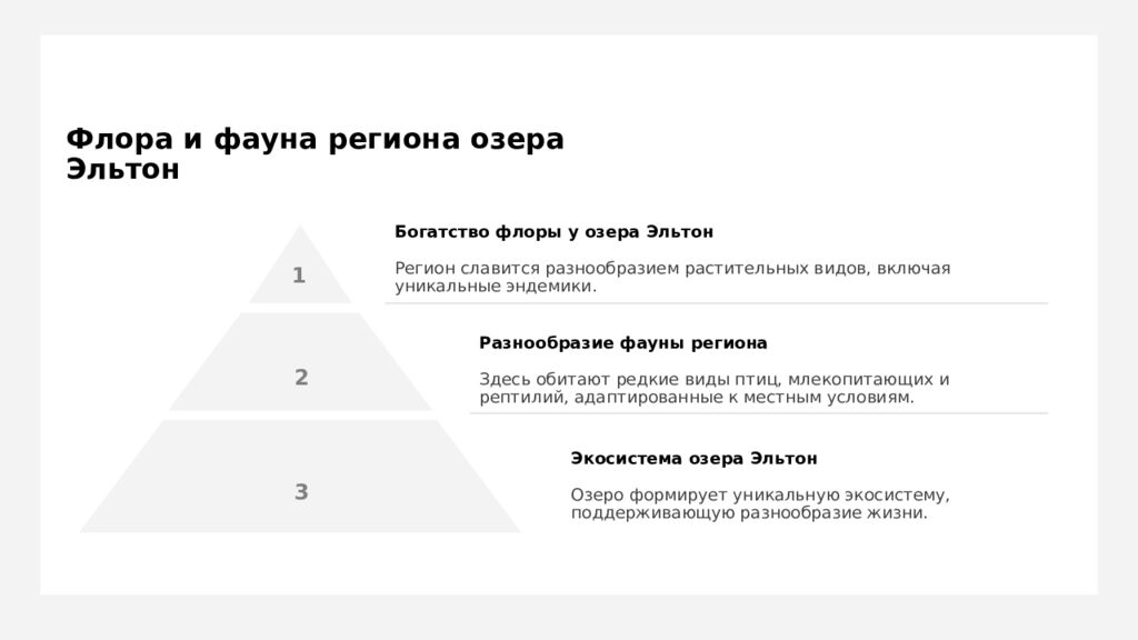 Флора и фауна региона озера Эльтон
