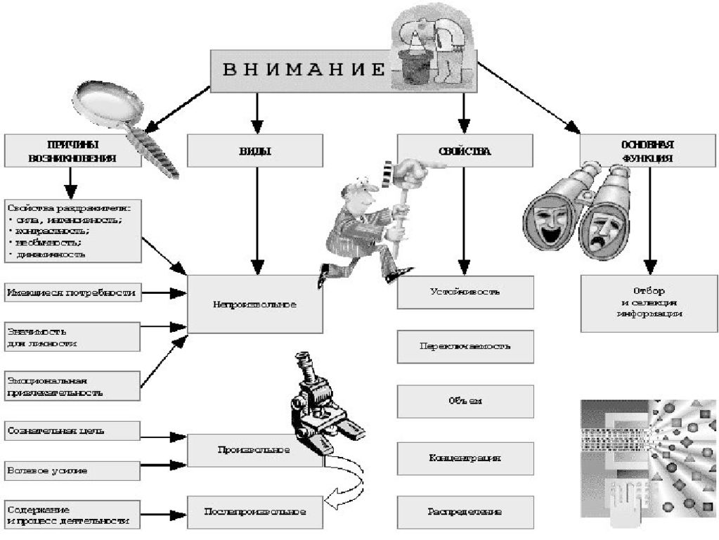 Виды внимания презентация по психологии