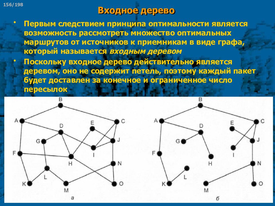 Графы являющиеся деревьями. Входные системы дерева являются.