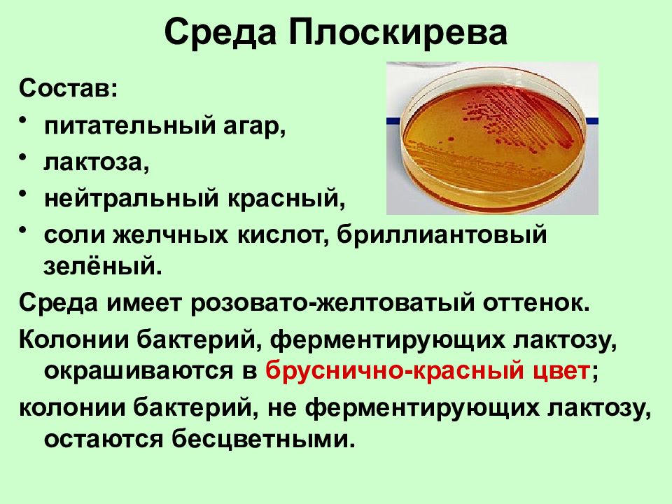 Среда раппопорта. Среда Плоскирева Тип среды. Плоскирева состав питательной среды. Питательная среда Плоскирева микробиология. Среда Плоскирева патогенные энтеробактерии.