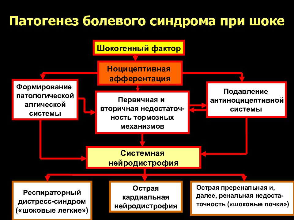 Схема механизмов развития первичной и вторичной гиперальгезии