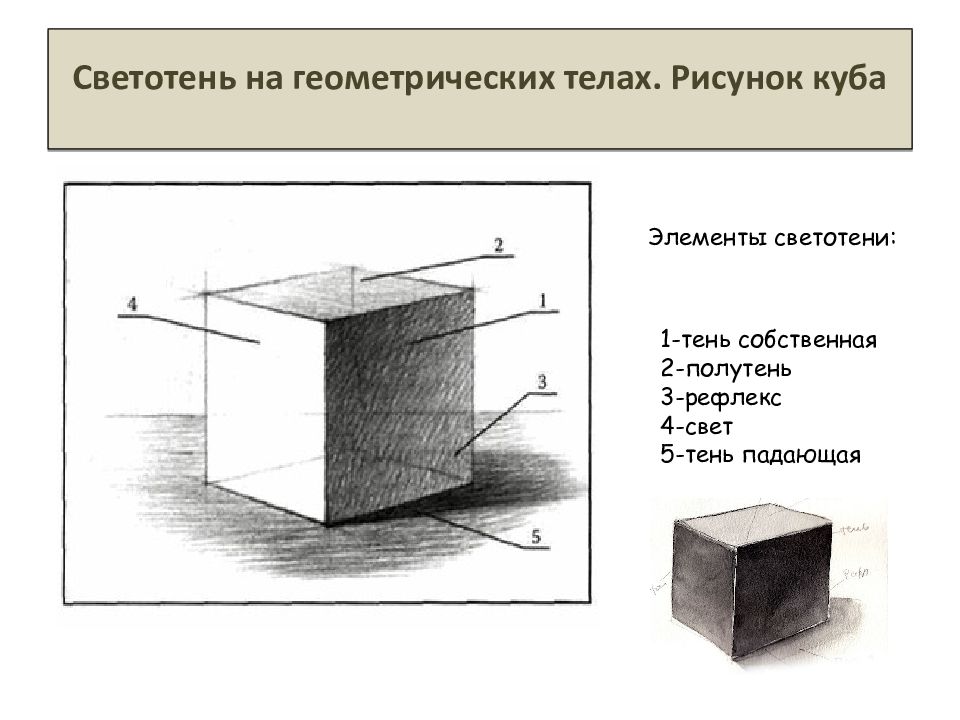 Клетки могут быть плоскими кубическими цилиндрическими. Светотень на геометрических телах. Рисунок Куба со светотенью. Тень от Куба на цилиндре. Куб и цилиндр