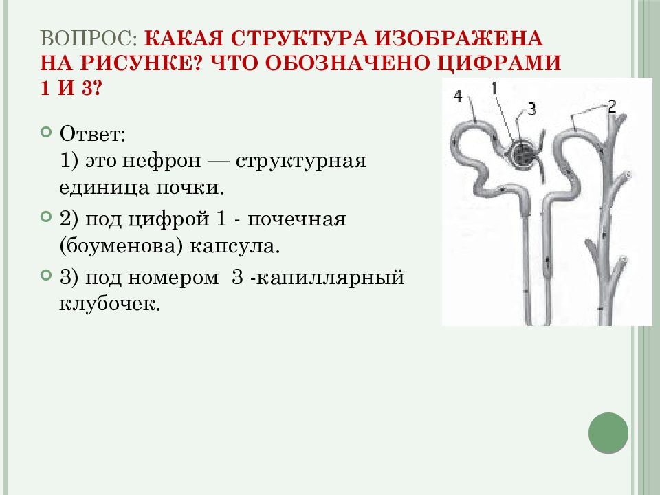 На рисунке под цифрой 2 обозначено