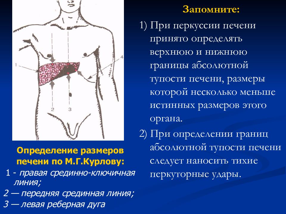 Печень по курлову