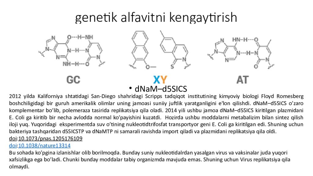 DNK ning tuzilishi va DNK replikatsiyasi genetik alfavitni kengaytirish