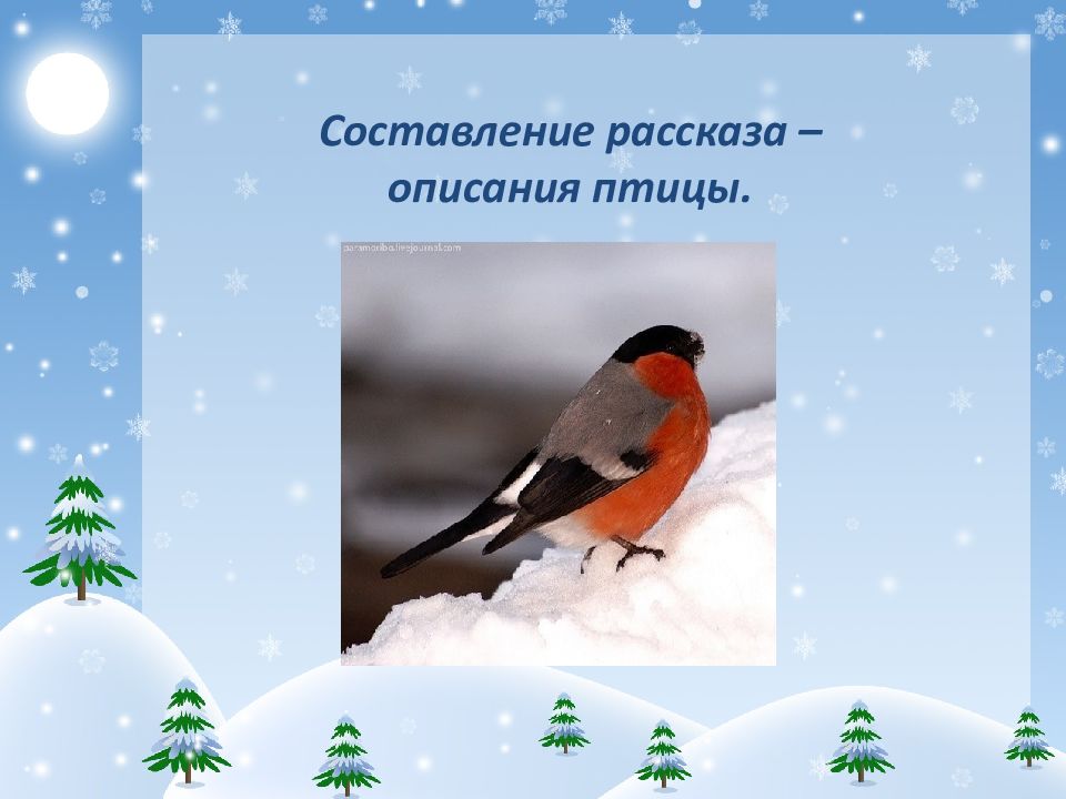 Схема рассказа зимующие птицы. Составление рассказа зимующие птицы. Ознакомление с окружающим миром зимующие птицы. Составление рассказа по теме зимующие птицы. Составление описательного рассказа о зимующих птицах.