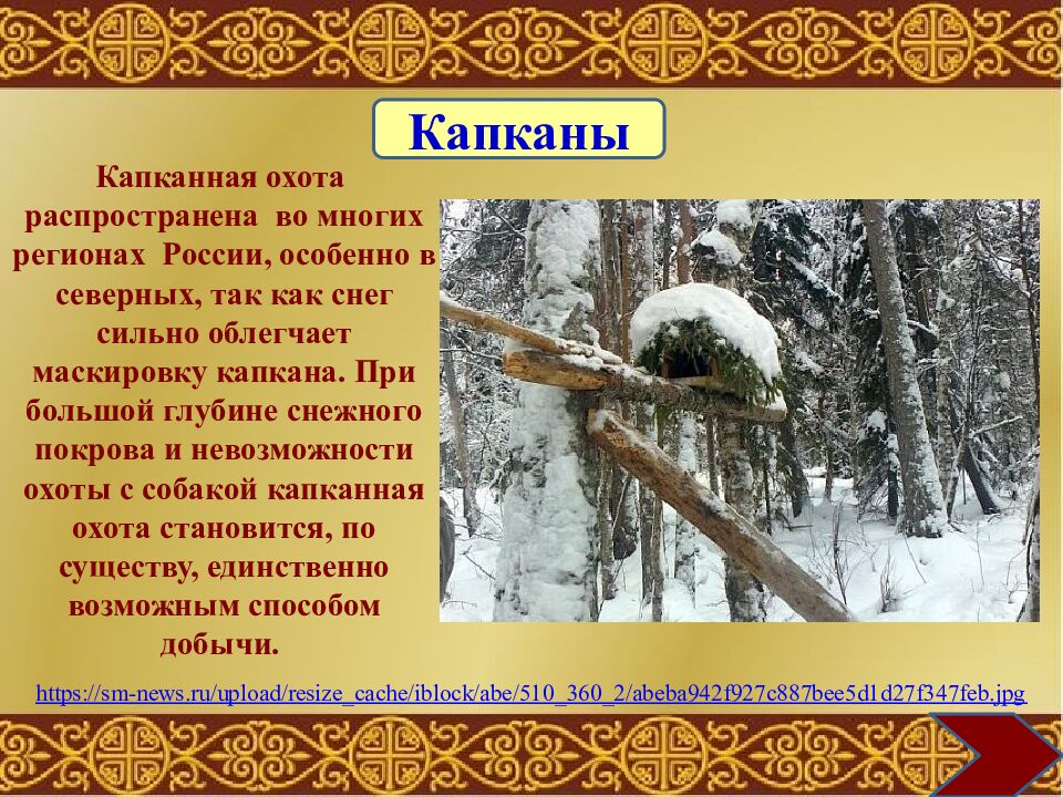 Муниципальное общеобразовательное учреждение «Средняя общеобразовательная