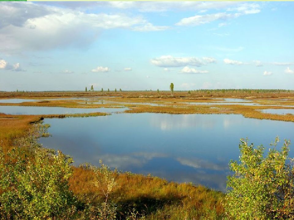 Западно сибирская равнина реки. Низменности Западно сибирской равнины. Западно Сибирская равнина Обь. Река Обь на Западно сибирской равнине. Западно Сибирская равнина равнина.