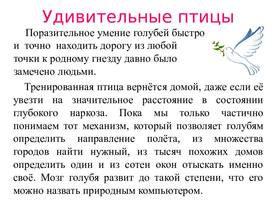 Голубь символ мира презентация для начальной школы