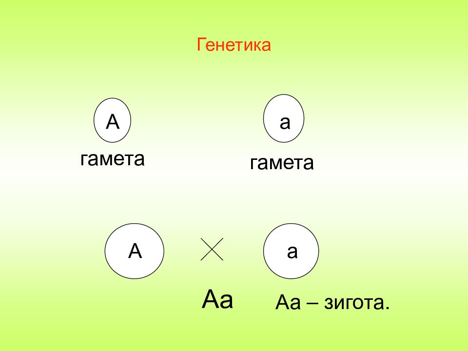 Контрольная работа по генетике 10. Генетика презентация. Нейтральные субвитальные функции генетика презентация.