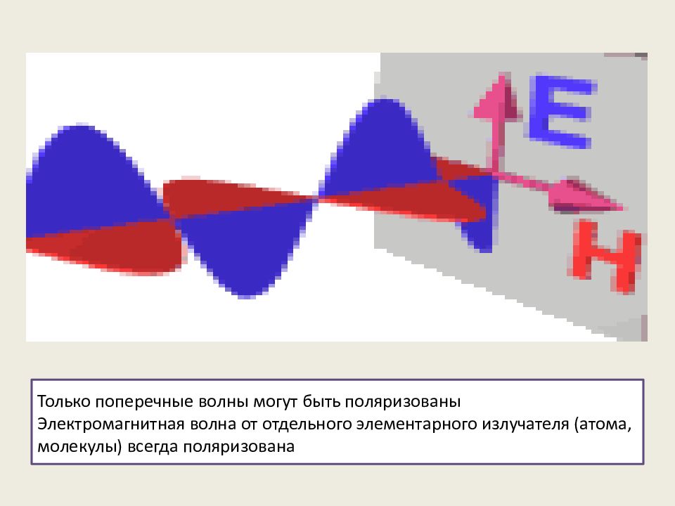 Поглощение поляризованного света. Поляризация поперечных волн. Дисперсия поляризация. Поляризация электромагнитных волн. . Поляризация поперечных волн. Поляризация света..