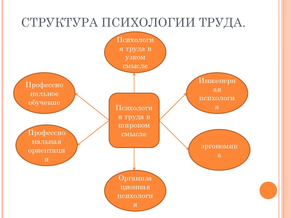 ГОУ ВПО КГМУ ФЕДЕРАЛЬНОГО АГЕНТСТВА ПО ЗДРАВООХРАНЕНИЮ И СОЦИАЛЬНОМУ РАЗВИТИЮ