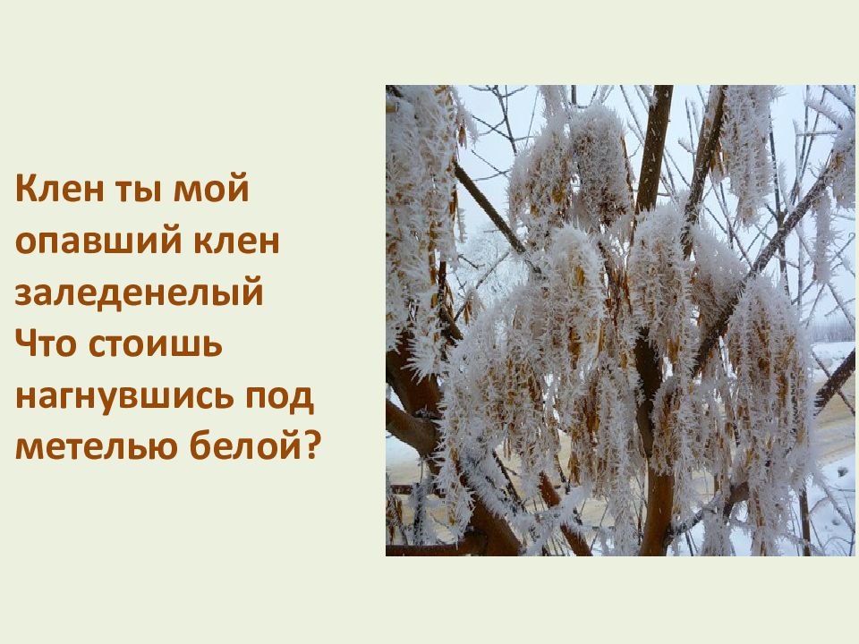 Знаки препинания при обращении презентация 8 класс