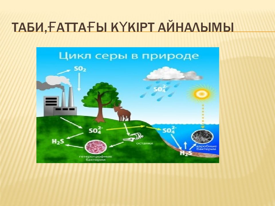 Табиғаттағы заттар айналымы 5 сынып жаратылыстану