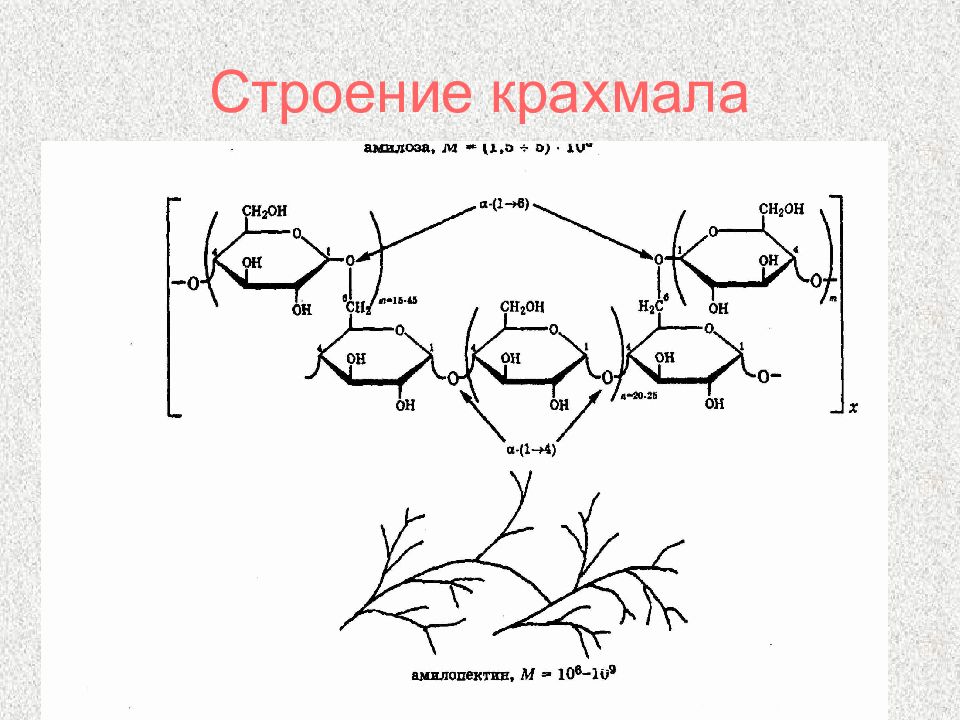 Особенности строения крахмала. Состав и строение крахмала. Строение молекулы крахмала линейное. Строение амилозы крахмала. Схема строения молекулы крахмала.