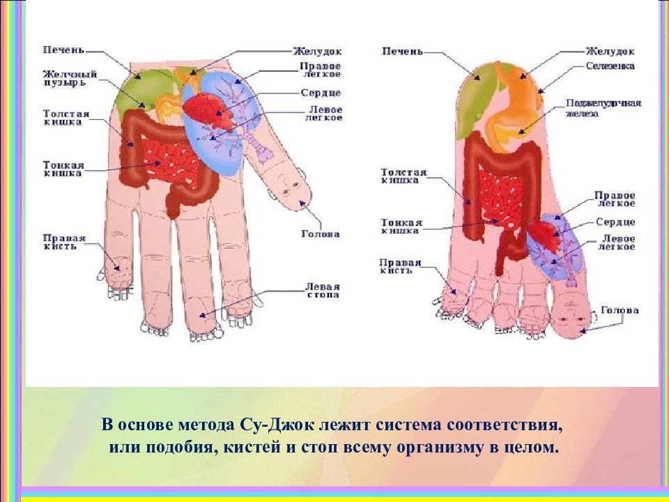 Активные точки на пальцах руки в картинках