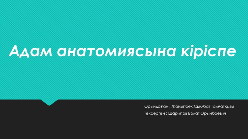 Адам анатомиясына кіріспе