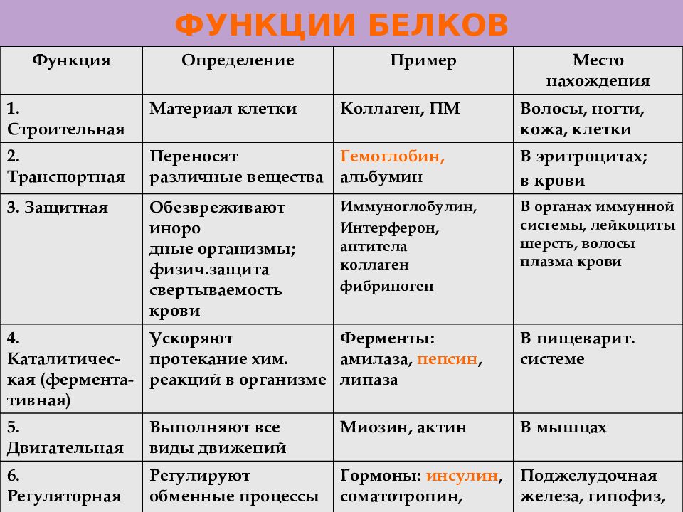 Какие функции белков. Каталитическая функция белков таблица. Выполняемые функции белков. Функции белков 5 класс биология. Функции белков таблица название и функции.