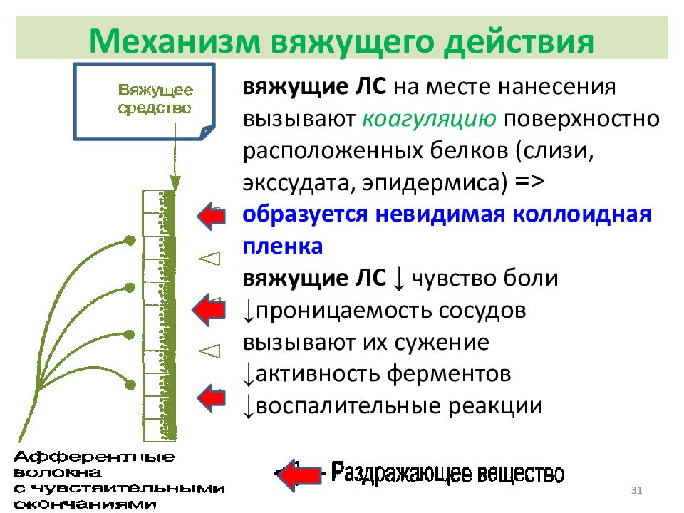 Вяжущие раздражающие средства. Вяжущие лекарственные средства механизм действия. Вяжущие обволакивающие и адсорбирующие. Вяжущие средства фармакология механизм действия. Механизм действия вяжущих средств фармакология.