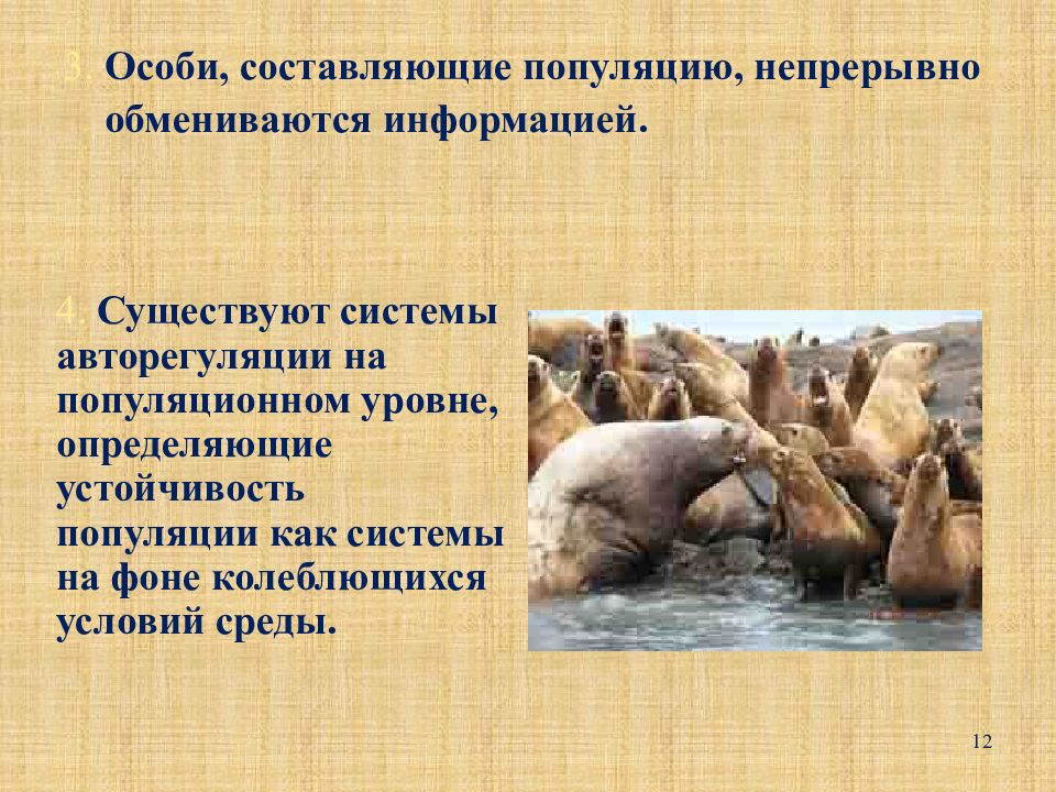 В популяции известны. Популяция особей. Особи одной популяции. Популяция как биологическая система. Популяция в экологии примеры.