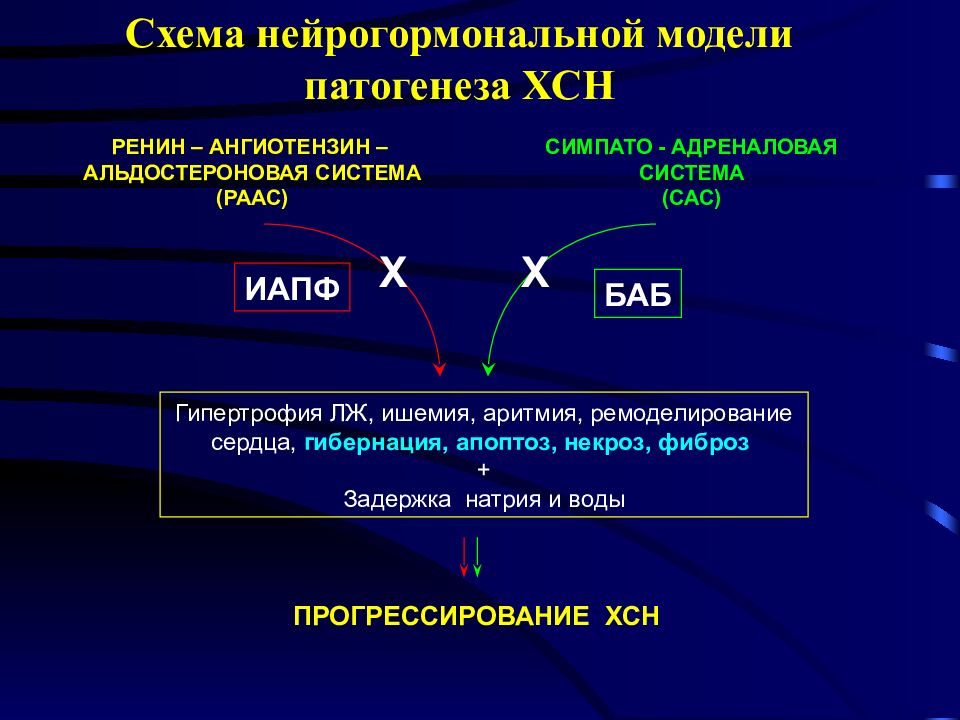 Патогенез хсн схема