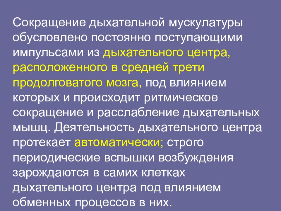 Уменьшение дыхания. Сокращение дыхания. Аббревиатуры дыхания. Когда происходит сокращение дыхательной мускулатуры.