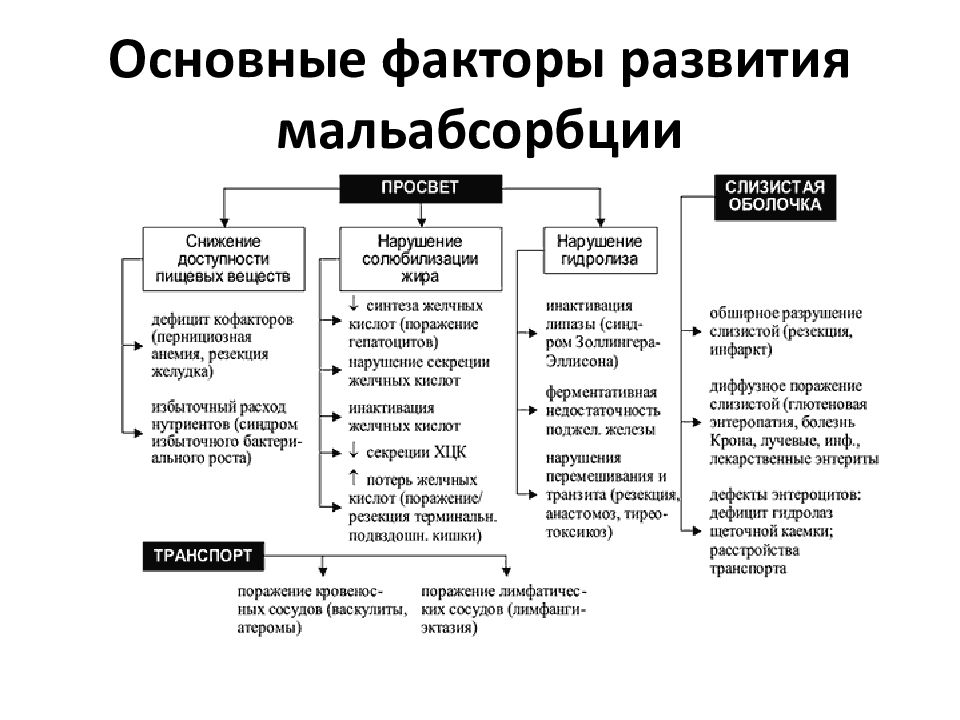 Синдром мальдигестии презентация