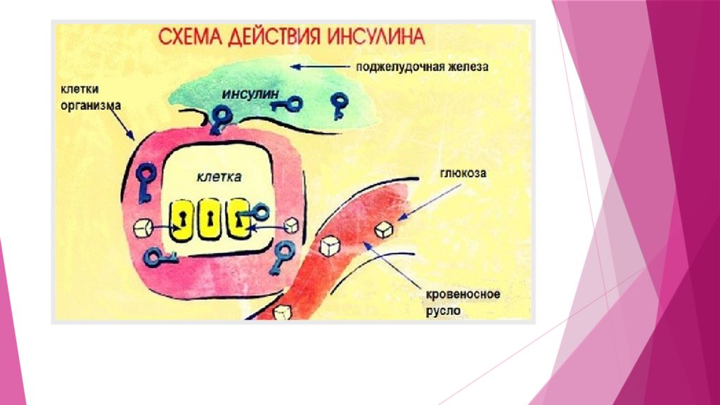 Диа диабет. Школа диабета. Школа диабета 1 типа. Школа диабета презентация. Ребус про сахарный диабет.