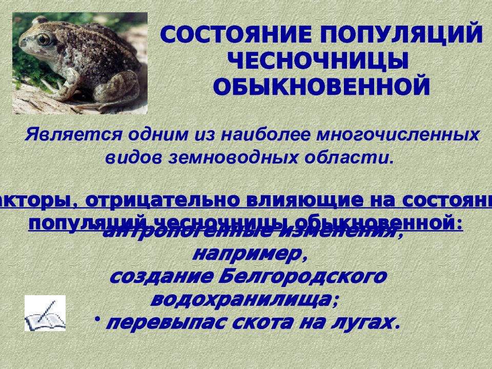 Опишите значение амфибий в природе для человека. Земноводные в природе и жизни человека. Значение земноводных в природе и жизни человека. Земноводных в жизни человека. Проект роль земноводных в природе и в жизни человека.