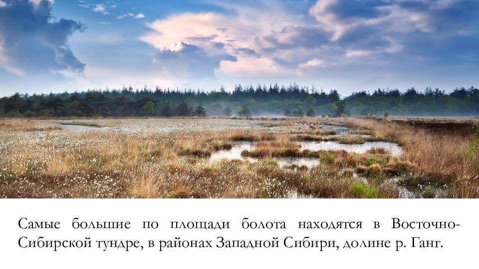 Более 10 территории россии занимают болота можно. Гидрография Западной Сибири. Самое большое болото располагается в России. Все крупнейшие болота расположены в Евразии. Топи или территория.
