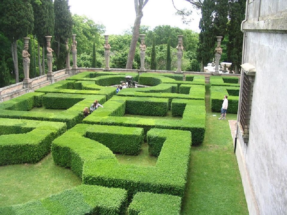 возрождение сада