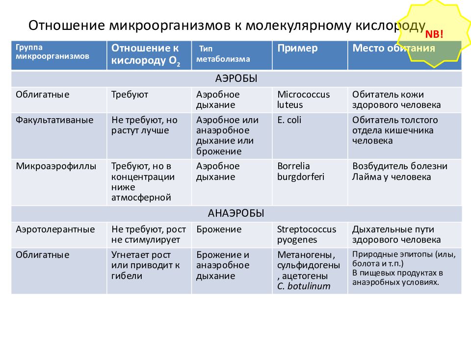 Отношение к кислороду. Группы бактерий по отношению к кислороду. Классификация бактерий по отношению к кислороду. Классификация микроорганизмов по отношению к кислороду. Отношение микроорганизмов к кислороду.