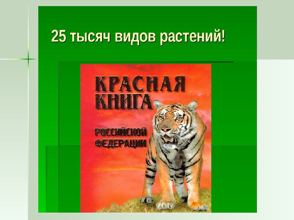 ОХРАНА РАСТИТЕЛЬНОГО МИРА