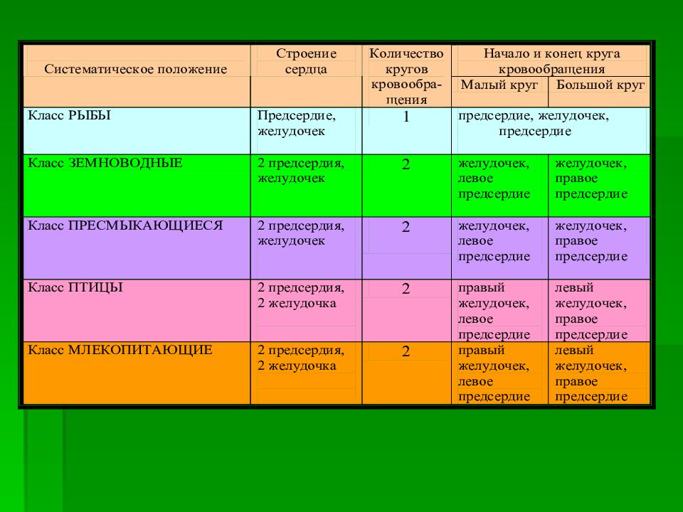 Ароморфозы растений и животных презентация