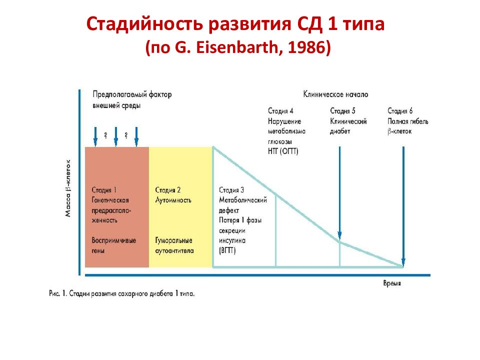 Клиническая картина сд 1 типа