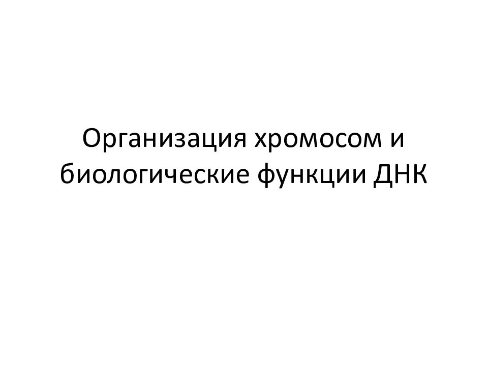 Организация хромосом и биологические функции ДНК