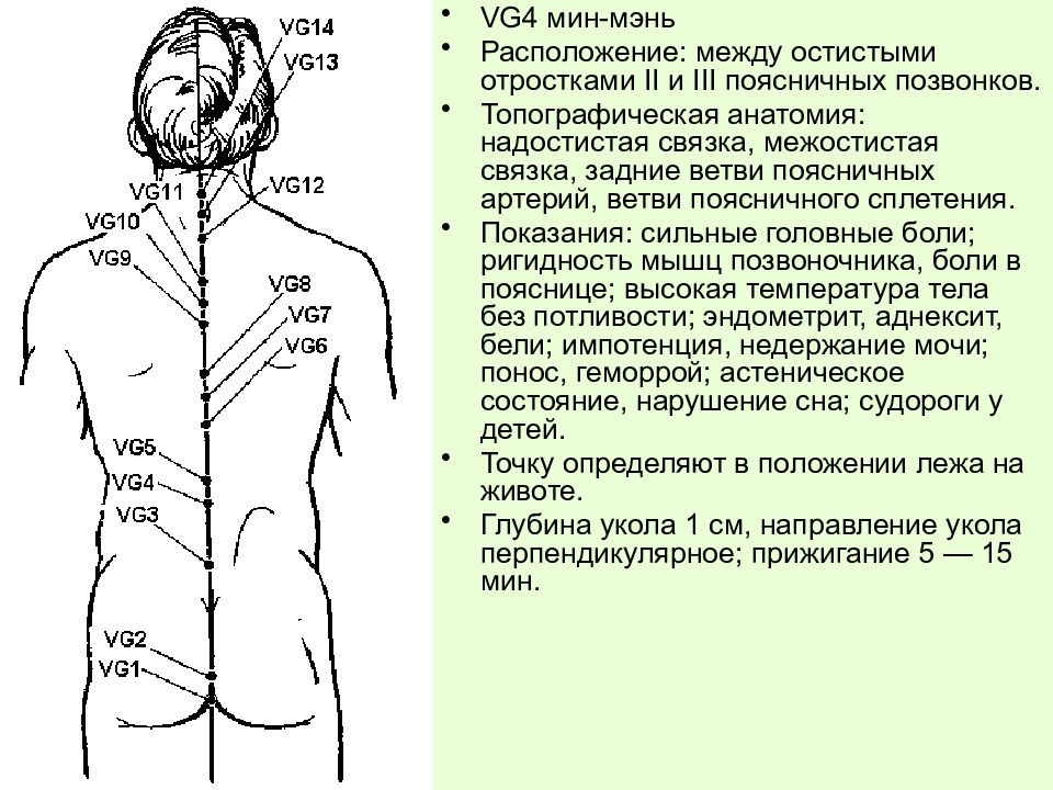 Где 4 точка. Мин-Мэнь точка т4 врата жизни. Мин-Мэнь VG.4. Точка vg4. Заднесрединный Меридиан точка vg2.