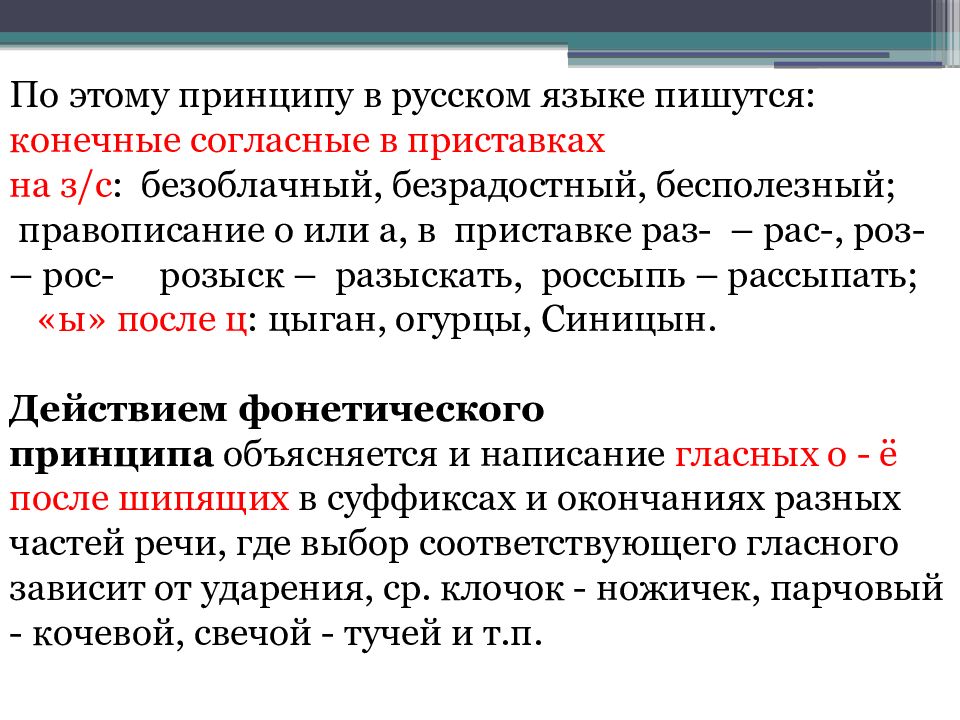 Принципы русской орфографии проект