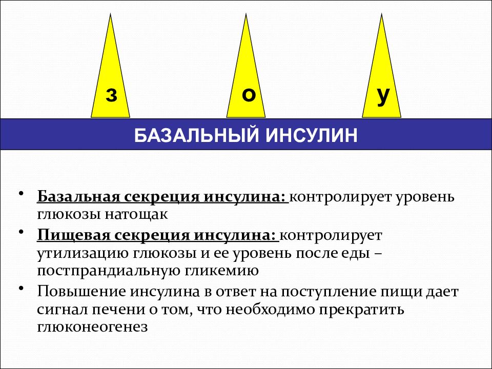 Уровень после. Базальная секреция инсулина. Базальный уровень инсулина. Базальная и прандиальная секреция инсулина. Базальная и пищевая секреция инсулина.