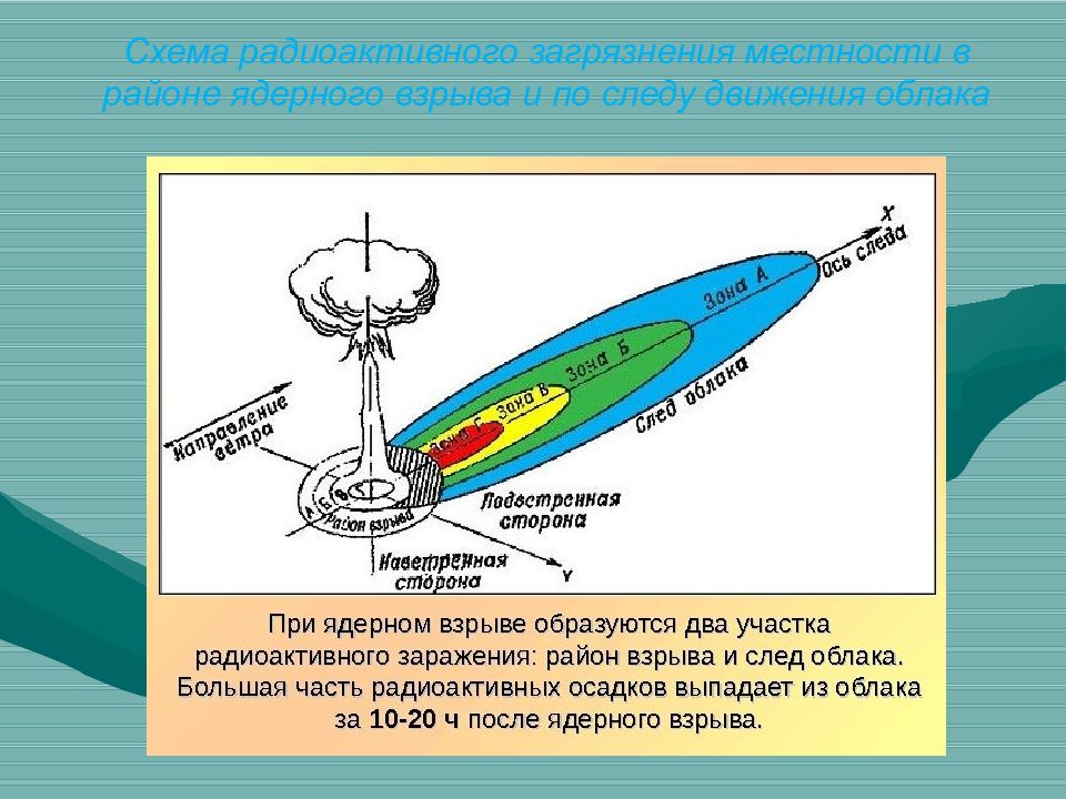 Схема радиоактивного загрязнения местности