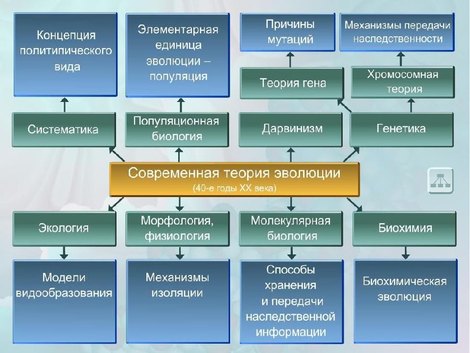 Современные взгляды на факторы эволюции 9 класс презентация