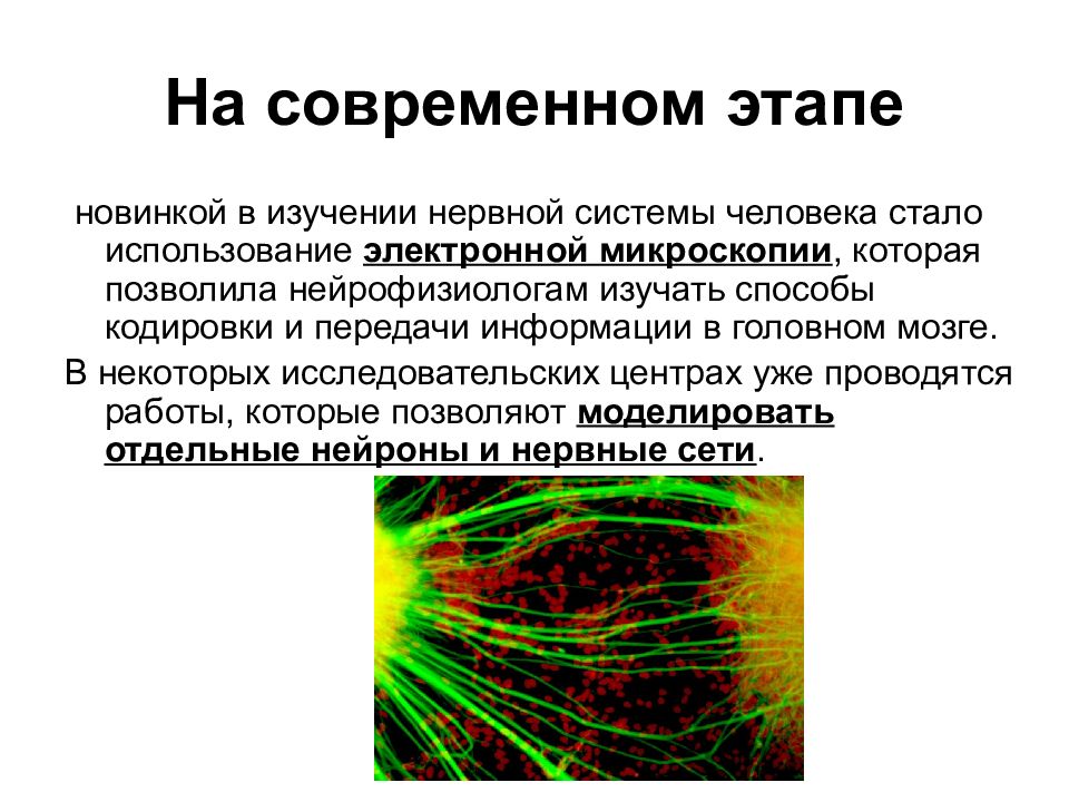 Обследование нерва